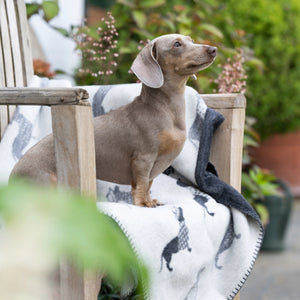 Kuscheldecke / Hundedecke TECKEL mit Dackelmotiv